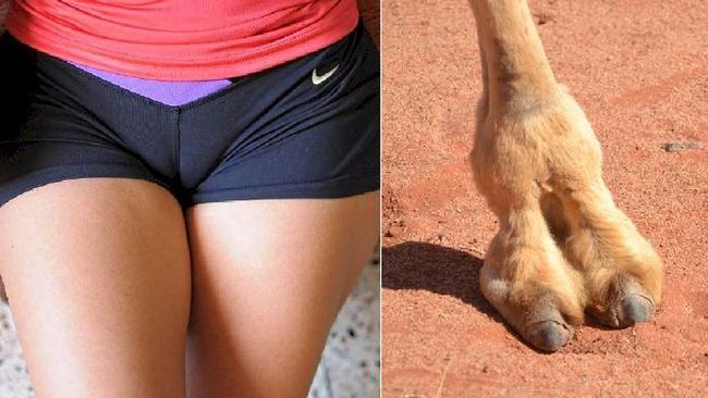 andrew sydenham add photo real camel toe pics