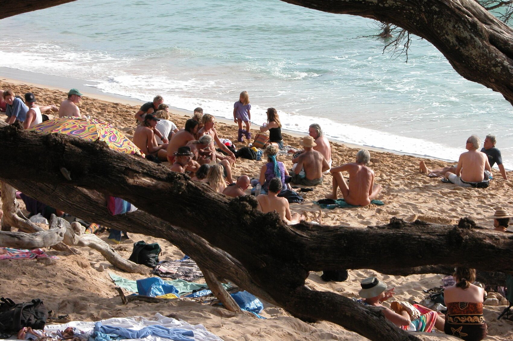 christopher schuette recommends Little Beach Party Maui