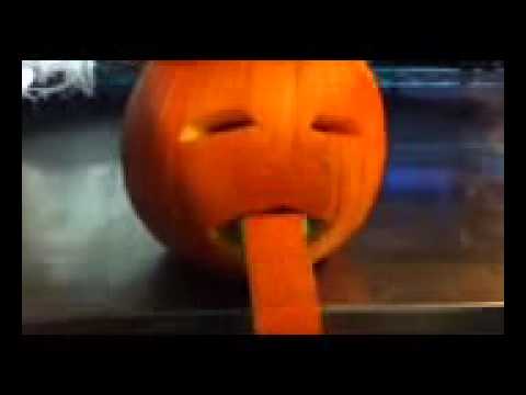 anne dressler recommends blumpkin on a pumpkin pic