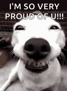 beth parrott recommends so proud of you gif pic