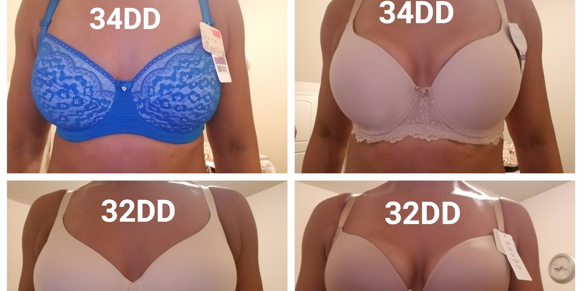 dave lattanzi share what does a 34dd look like photos