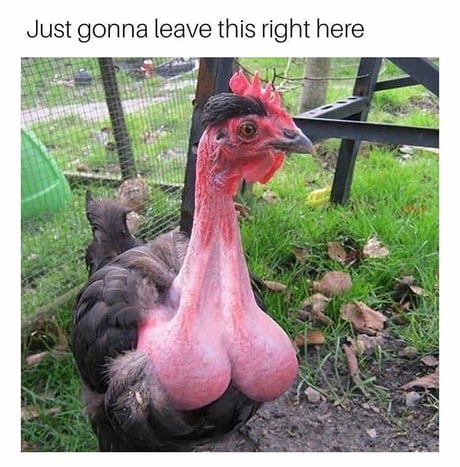 chris crookston recommends Now Thats A Big Cock