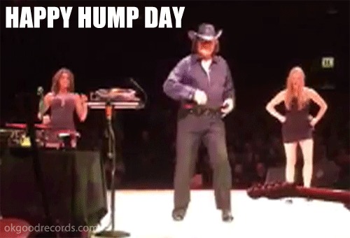 happy hump day animated gif