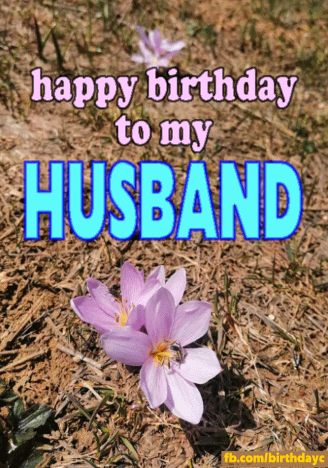 alexis mercer recommends happy birthday to my hubby gif pic