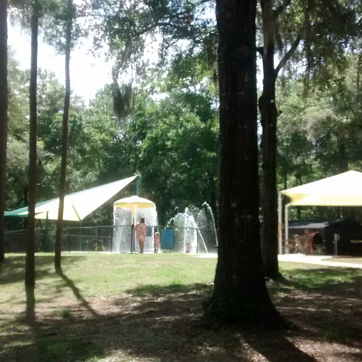 connie warlick recommends campgrounds near inverness florida pic