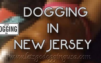 Best of Dogging in the usa