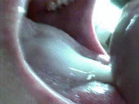 bernard phillips recommends oral creampie gifs pic