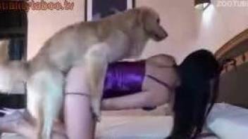 anthony d roberts recommends chick gets fucked by dog pic