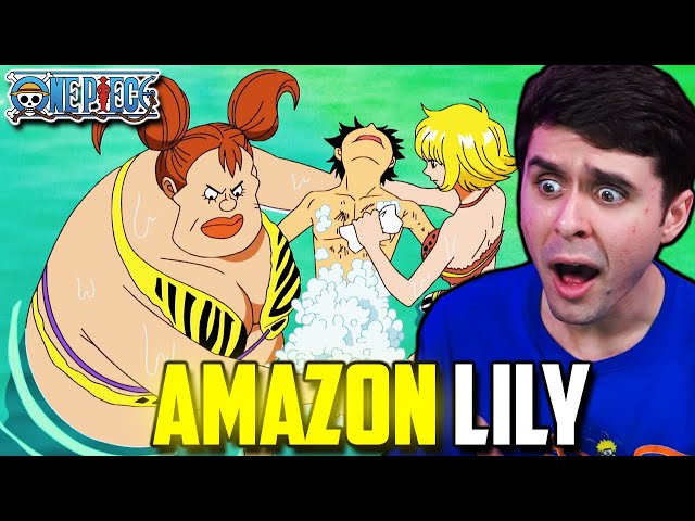 aydin halil recommends Amazon Lily One Piece Episode