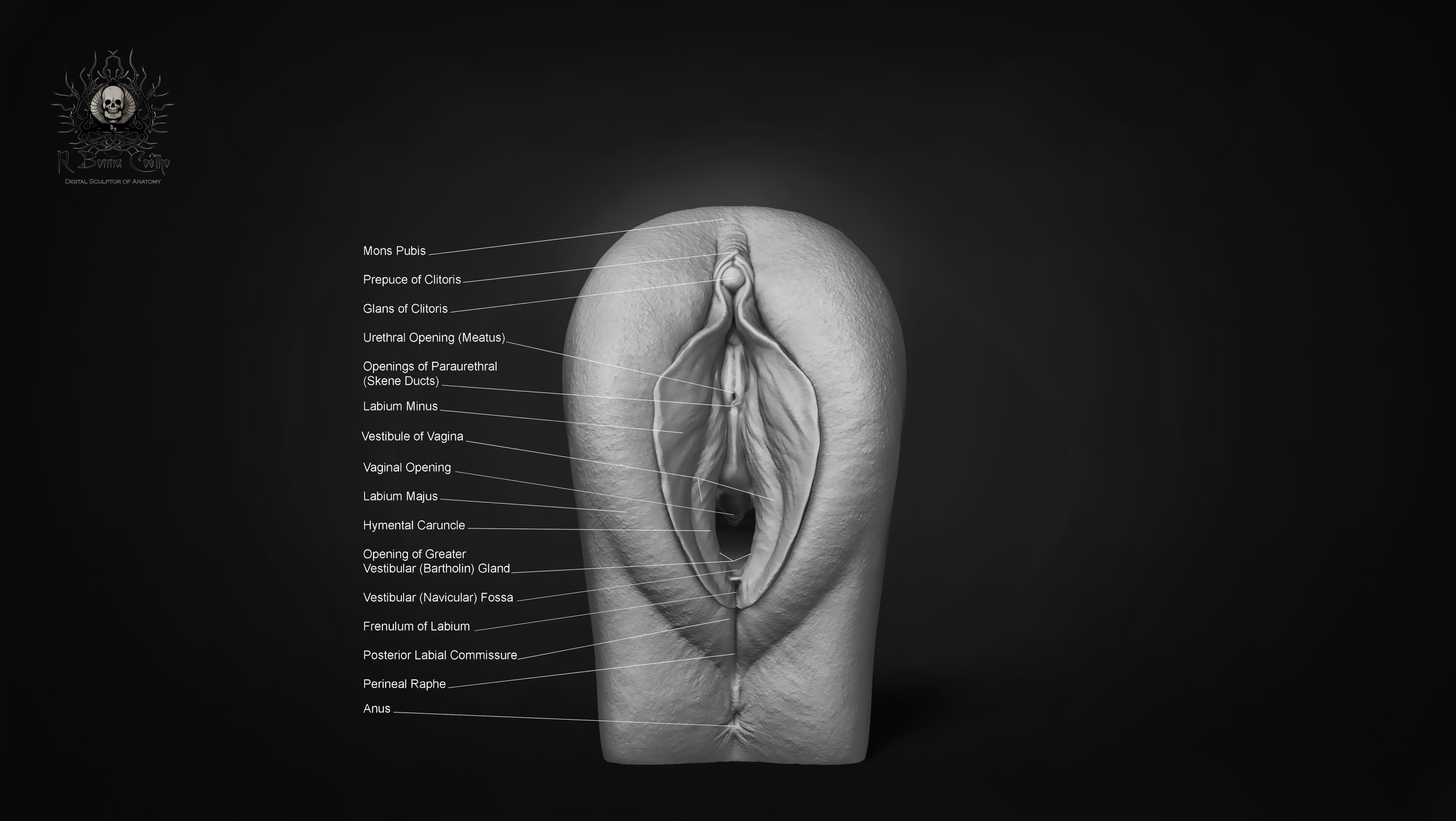 ahmad zahari add photo how to make realistic vagina