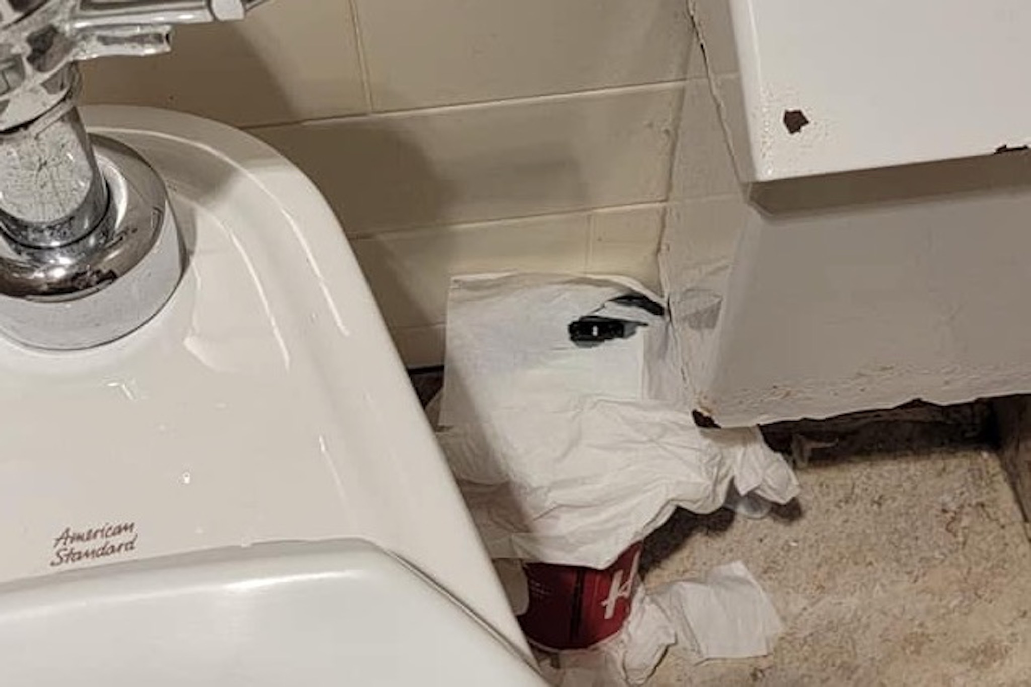 cheryl kinder recommends Hidden Camera In Women Toilet