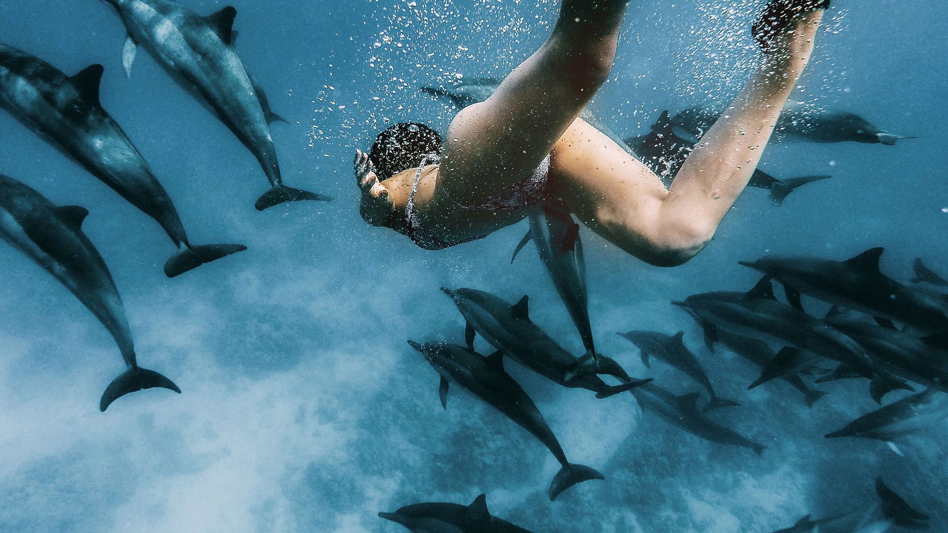 adrian pattinson recommends Swimming Naked With Dolphins