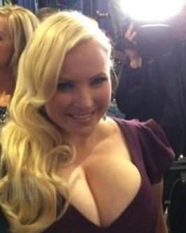 ary cahyono recommends meghan mccain nude pics pic