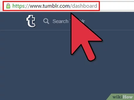 dharani chandran recommends how to search gifs on tumblr pic