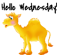 christian marchand recommends Happy Hump Day Animated Gif