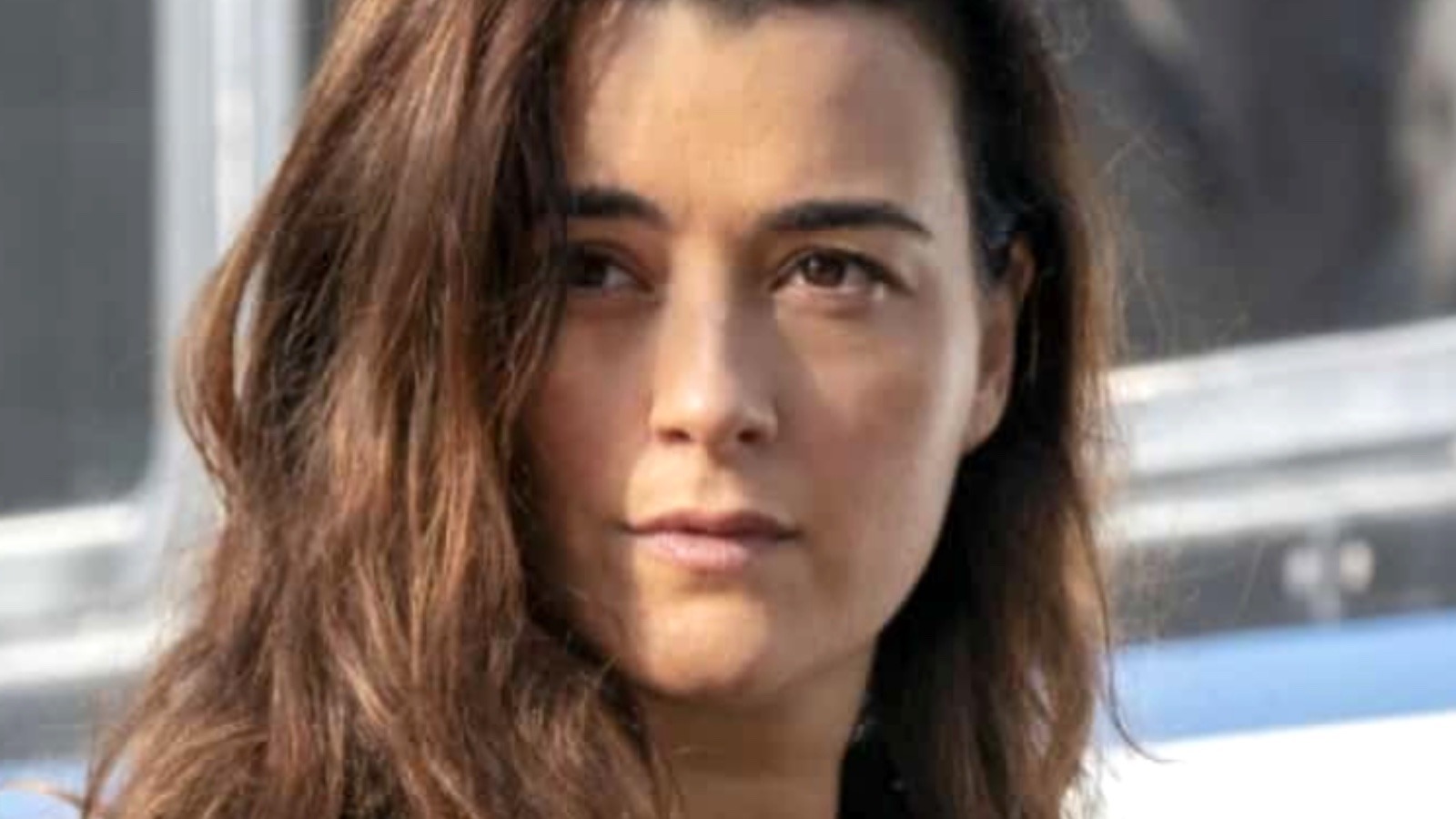 chad gafford add cote de pablo now pictures photo