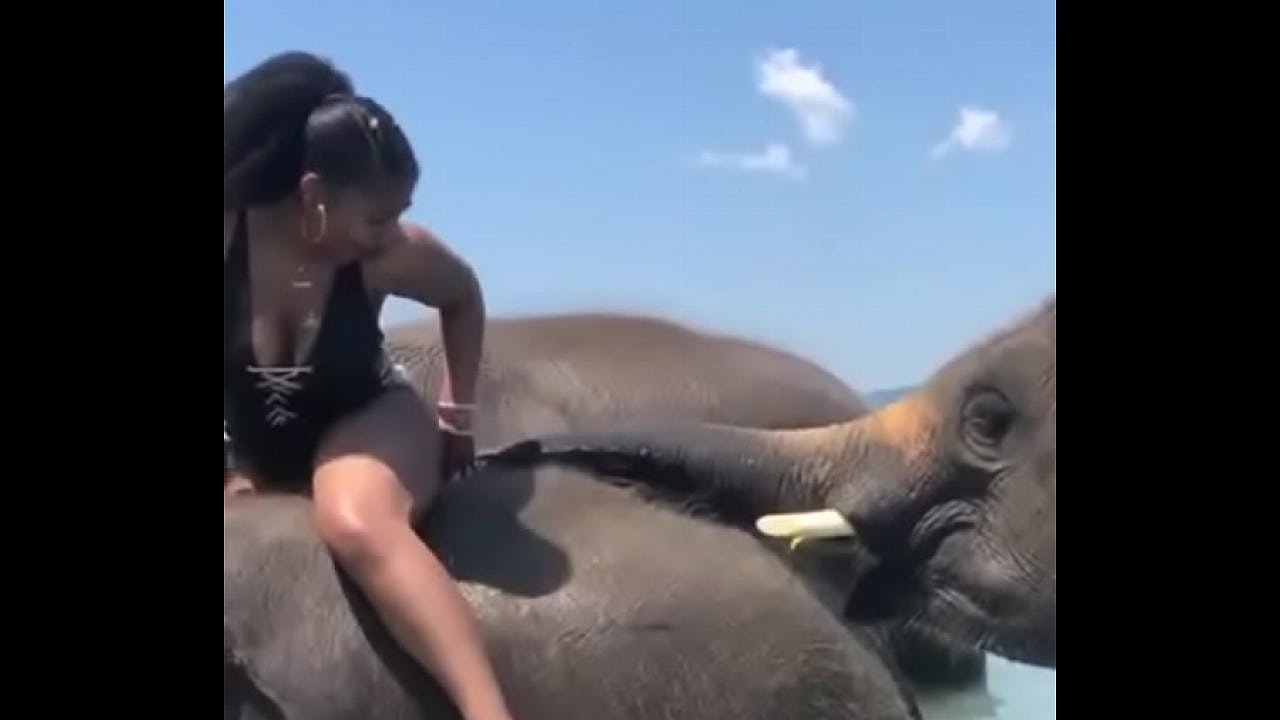 Girl Fucked By Elephant radar live
