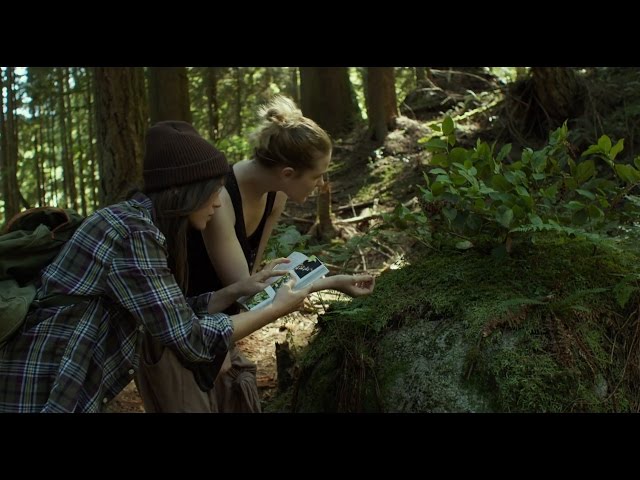 carl breece recommends Download The Forest Movie