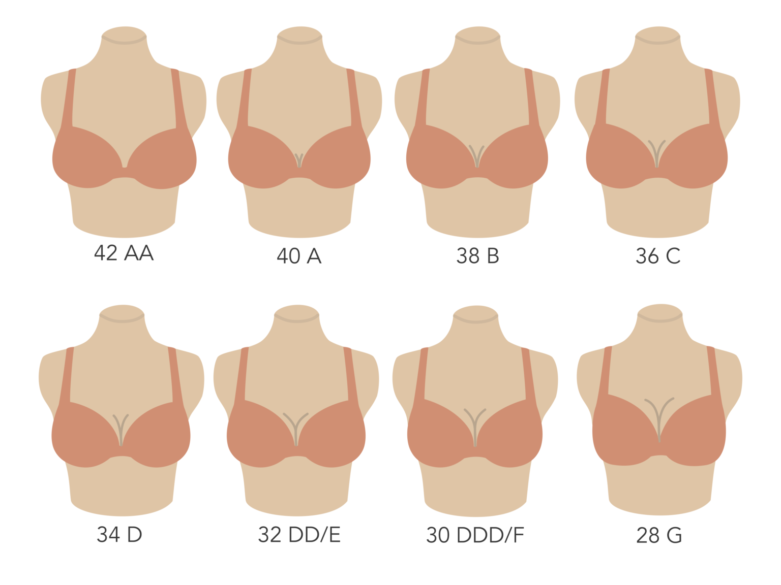 dalia stevens recommends bra size chart with real pictures pic