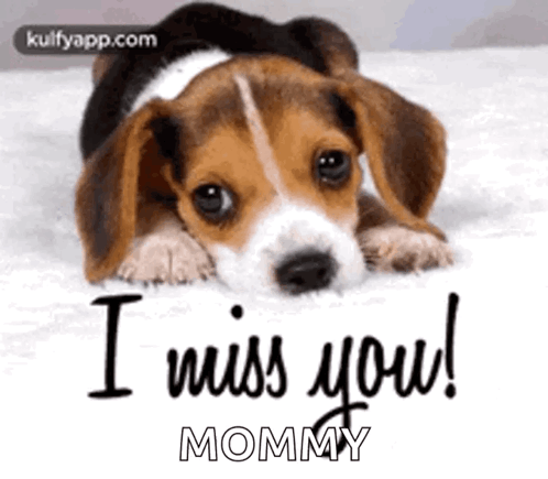 christina eugene add miss you mom gif photo