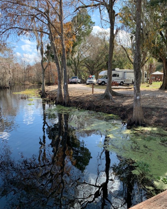 Campgrounds Near Inverness Florida squirting strong