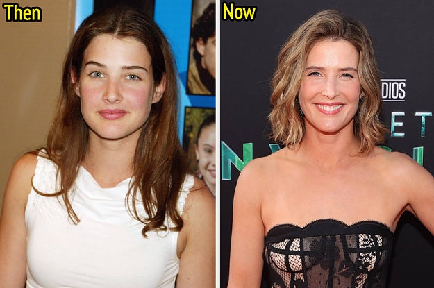 brittney burch recommends cobie smulders nipples pic