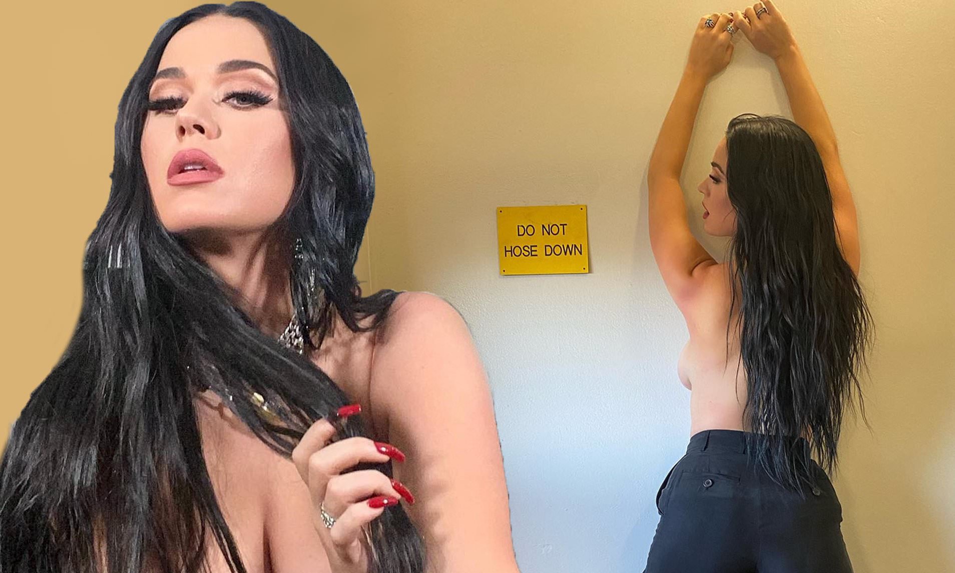 anneliese ramirez recommends katy perry topless photoshoot pic