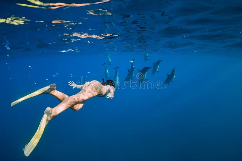 carolyn watters recommends swimming naked with dolphins pic