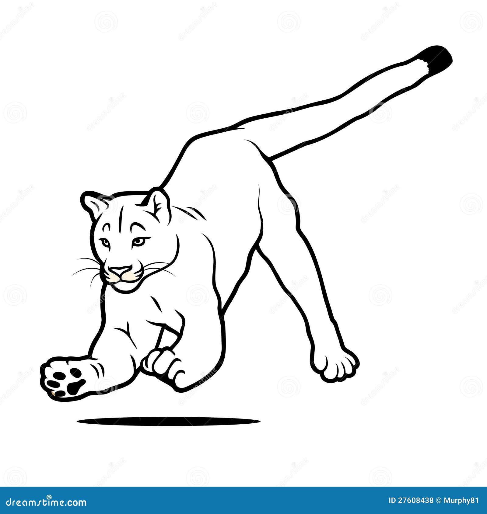 andre janssens add how to draw a cougar photo