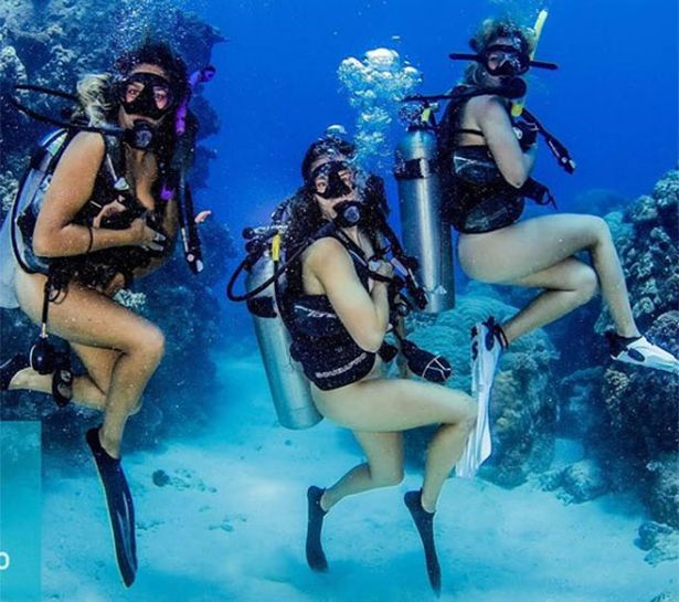 ashley tidrick share naked scuba diving photos