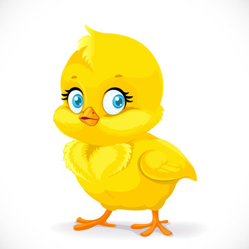 chick images cartoon