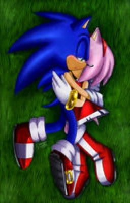 ahmad alsaffar recommends Sonic And Amy Having It In Bed