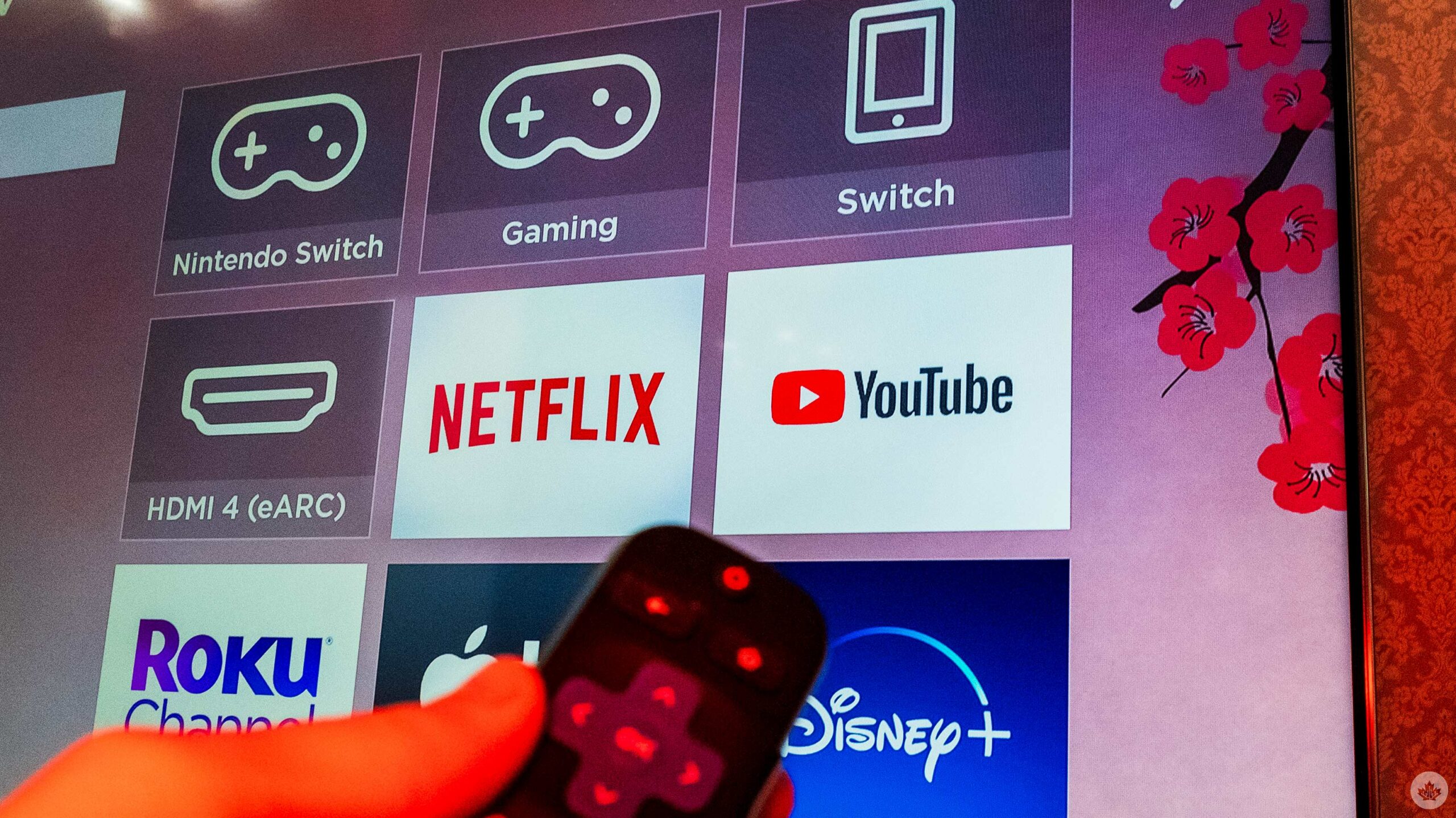 brian soderholm recommends How To Add Pornhub To My Roku