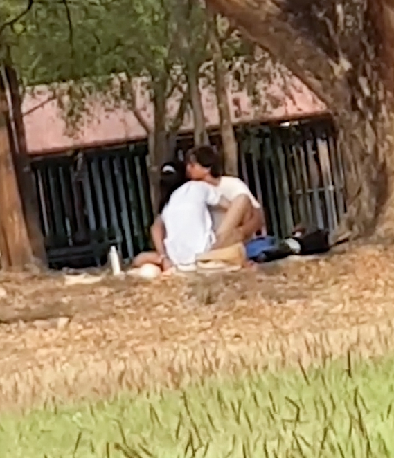 Couple Having Sex In Park penetration gifs