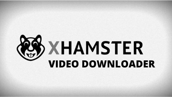 xhamstervideodownloader apk for chromebook hp