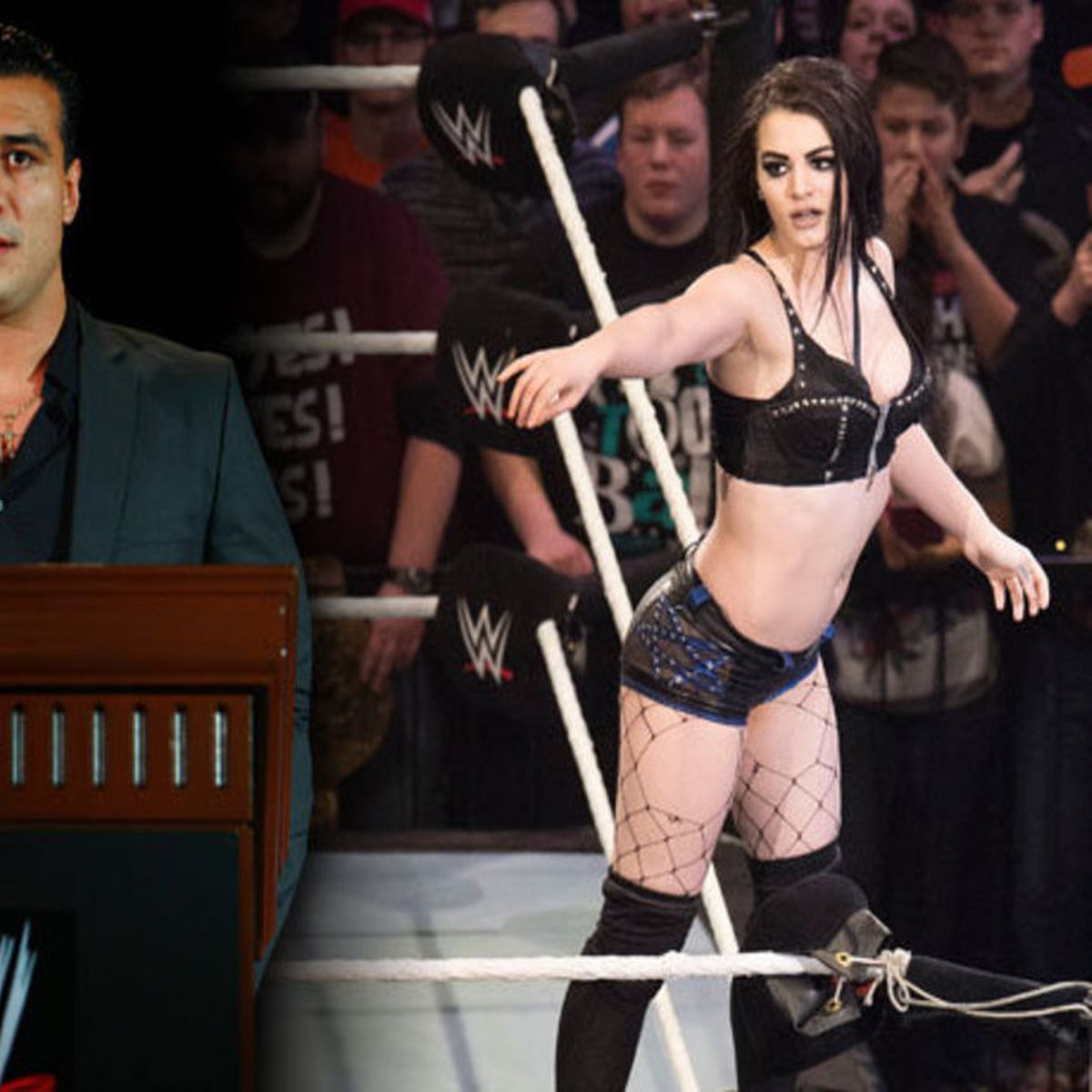 barbara nethery recommends paige wwe wardrobe malfunction pic