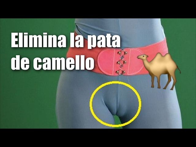 pata de camello videos