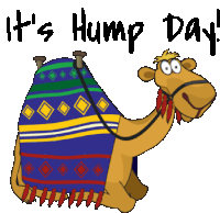 cody bignell recommends happy hump day animated gif pic
