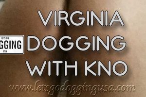 dogging in the usa