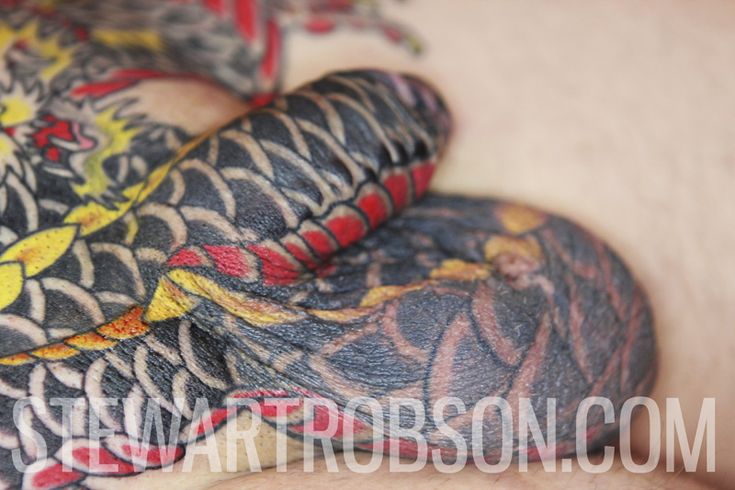 apryl robinson recommends Snake Tattoo On Penis