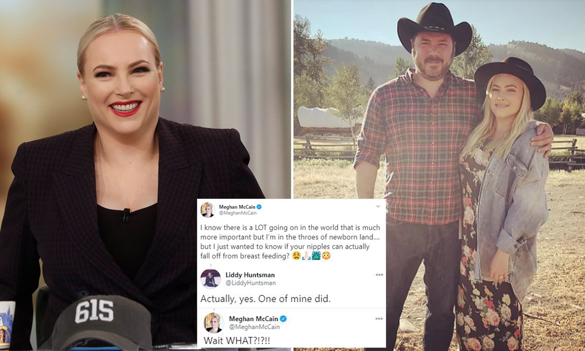 bobby towne recommends meghan mccain huge tits pic