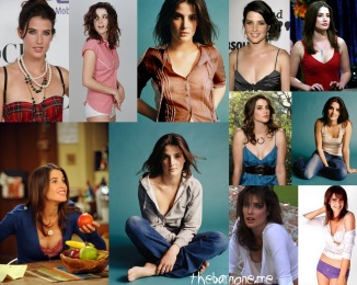 donna jo williams recommends Cobie Smulders Nipples