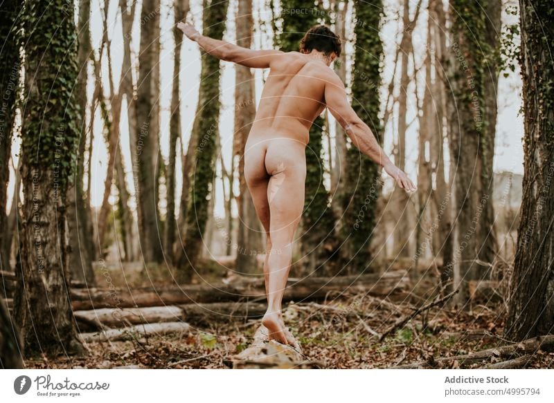 azis ismail recommends Nude Men In The Forest