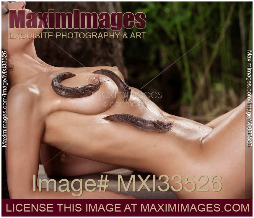 donald arens add photo i like nude women