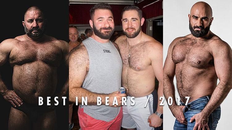 Best of Hairy bears free videos