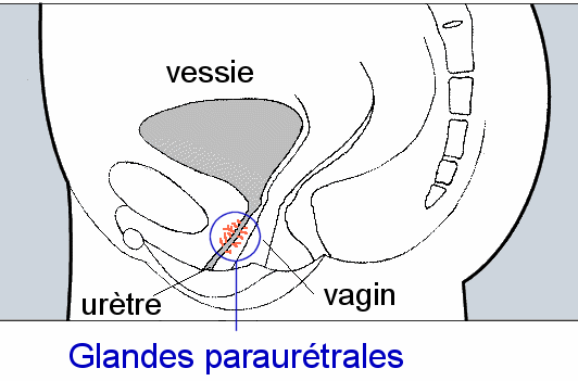 amanda gonter add photo ejaculation dans le vagin