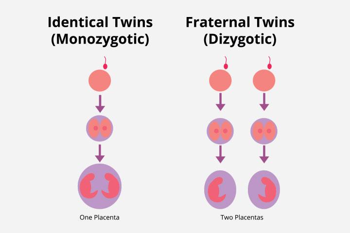 amber aliff recommends Different Sex Positions To Conceive Twins