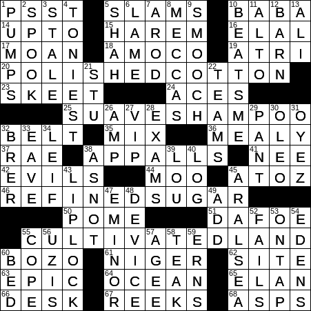 area man recommends Nigeria Neighbor Crossword Clue