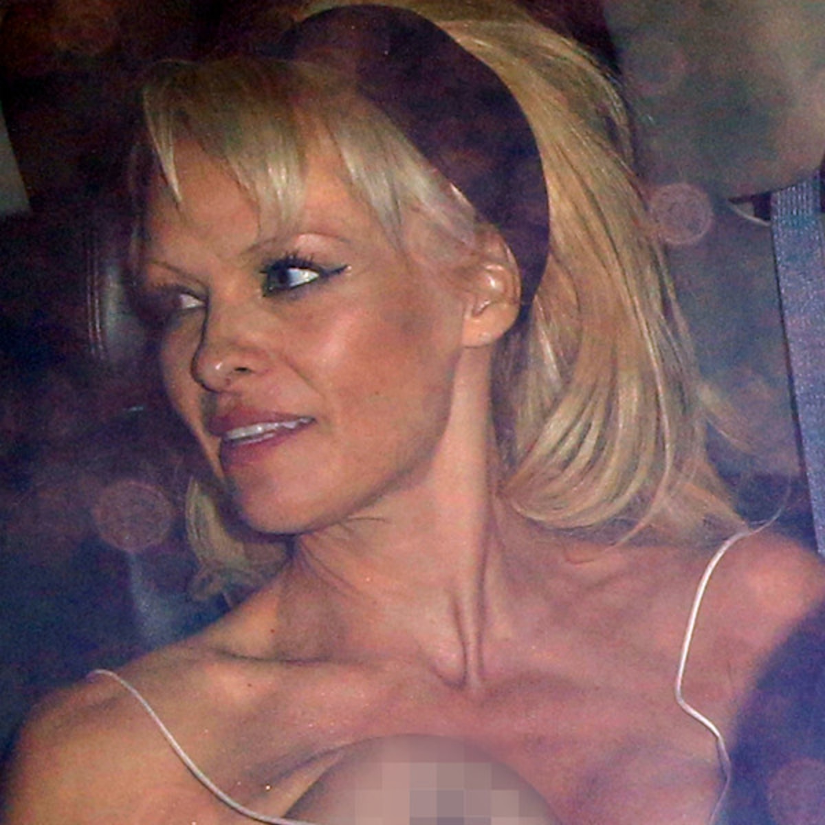andrew elsen recommends pamela anderson s tits pic