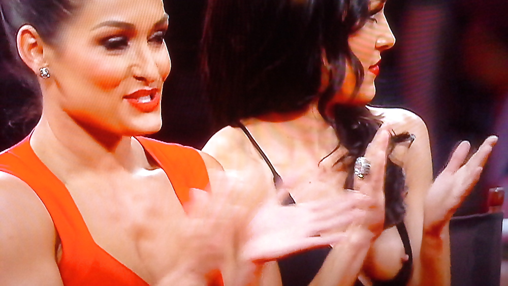 austin ipox add photo brie bella nip slip